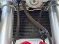 Yamaha TZR 250 RS - 3VX Cv 45 Wit - thumbnail 21
