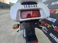 Yamaha TZR 250 RS - 3VX Cv 45 Blanc - thumbnail 11
