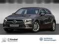 Mercedes-Benz A 250 Progressive Burmester AR Navi Multibeam 360° Me... Grau - thumbnail 1