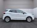 Ford EcoSport ST-Line Blanc - thumbnail 7