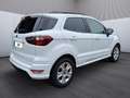 Ford EcoSport ST-Line Blanc - thumbnail 6