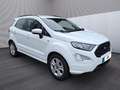 Ford EcoSport ST-Line Blanc - thumbnail 8