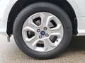 Ford EcoSport ST-Line Blanc - thumbnail 20