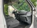 Ford Transit 350 L3 Trend Rampe Klima Standheizung uvm. Weiß - thumbnail 7