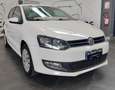 Volkswagen Polo 5p 1.2 Comfortline Air c/abs Bianco - thumbnail 12