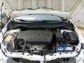 Toyota Auris 1,3 Cool, Klima, Top Gepflegt Blanco - thumbnail 10
