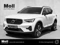 Volvo XC40 Plus Dark Recharge Plug-In Hybrid 2WD T5 Twin Engi Weiß - thumbnail 1