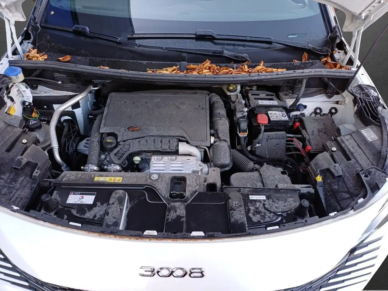 Peugeot 3008 GT PureTech 130 LED ACC FOCAL LEDER NAVI 7