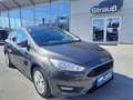 Ford Focus 1,0 EcoBoost Titanium Grau - thumbnail 1
