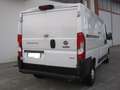 Fiat Ducato 35 3.0 CNG Natural Power MH1 Motore Rotto Weiß - thumbnail 3