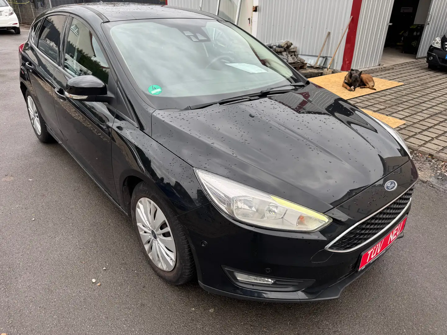 Ford Focus Business/Zahnriemen Neu/Kamera/Navi/SHZ/LHZ/Klima Zwart - 2