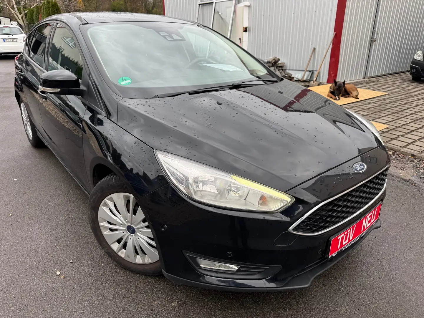 Ford Focus Business/Zahnriemen Neu/Kamera/Navi/SHZ/LHZ/Klima Zwart - 1