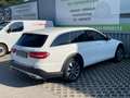 Mercedes-Benz E 220 E 220 d T All-Terrain 4MATIC Aut. * 2. Besitz * Weiß - thumbnail 6