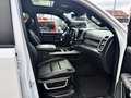Dodge RAM Quad Cab Laramie Night LKW Widebody/NAP Weiß - thumbnail 15