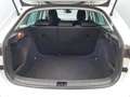 Skoda Scala -33% 1.0 TSI BVA 115cv +MIRRORLINK+RADAR+Opts Beige - thumbnail 5