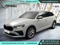 Skoda Scala -33% 1.0 TSI BVA 115cv +MIRRORLINK+RADAR+Opts Beige - thumbnail 1
