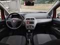 Fiat Punto Easy 1.3 Mjt 75cv 5p Rosso - thumbnail 13