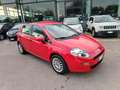 Fiat Punto Easy 1.3 Mjt 75cv 5p Rosso - thumbnail 5