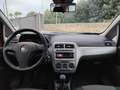 Fiat Punto Easy 1.3 Mjt 75cv 5p Rosso - thumbnail 12