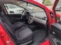Fiat Punto Easy 1.3 Mjt 75cv 5p Rosso - thumbnail 15