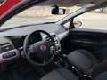 Fiat Punto Easy 1.3 Mjt 75cv 5p Rosso - thumbnail 10
