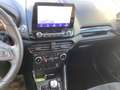 Ford EcoSport ST-Line / WinterP / Wi-Räder / RFK Gris - thumbnail 8