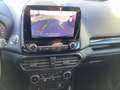 Ford EcoSport ST-Line / WinterP / Wi-Räder / RFK Gris - thumbnail 7