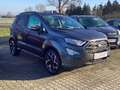 Ford EcoSport ST-Line / WinterP / Wi-Räder / RFK Gris - thumbnail 2