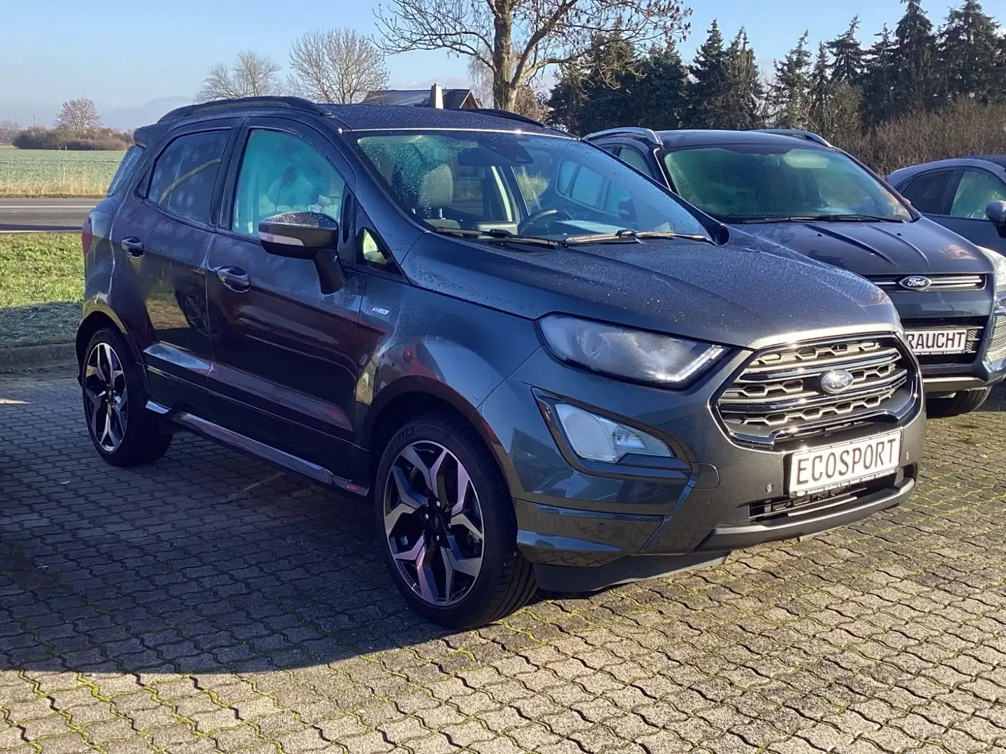 Ford EcoSport ST-Line / WinterP / Wi-Räder / RFK Gris - 2