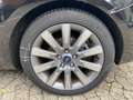Ford Focus Cabrio Black Magic Sportpaket Parkpilot Schwarz - thumbnail 15