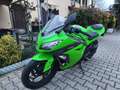 Kawasaki Ninja 300 abs Verde - thumbnail 1