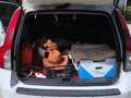 Volvo V50 1.6D DRIVe Kinetic Blanco - thumbnail 14