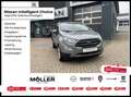 Ford EcoSport 1.0 EcoBoost Titanium Navi Kamera LED S Zilver - thumbnail 1