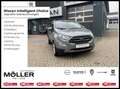 Ford EcoSport 1.0 EcoBoost Titanium Navi Kamera LED S Silber - thumbnail 1