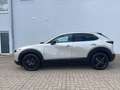 Mazda CX-30 2.0 SKYACTIV-G M Hybrid 150 Homura 2WD Бежевий - thumbnail 5