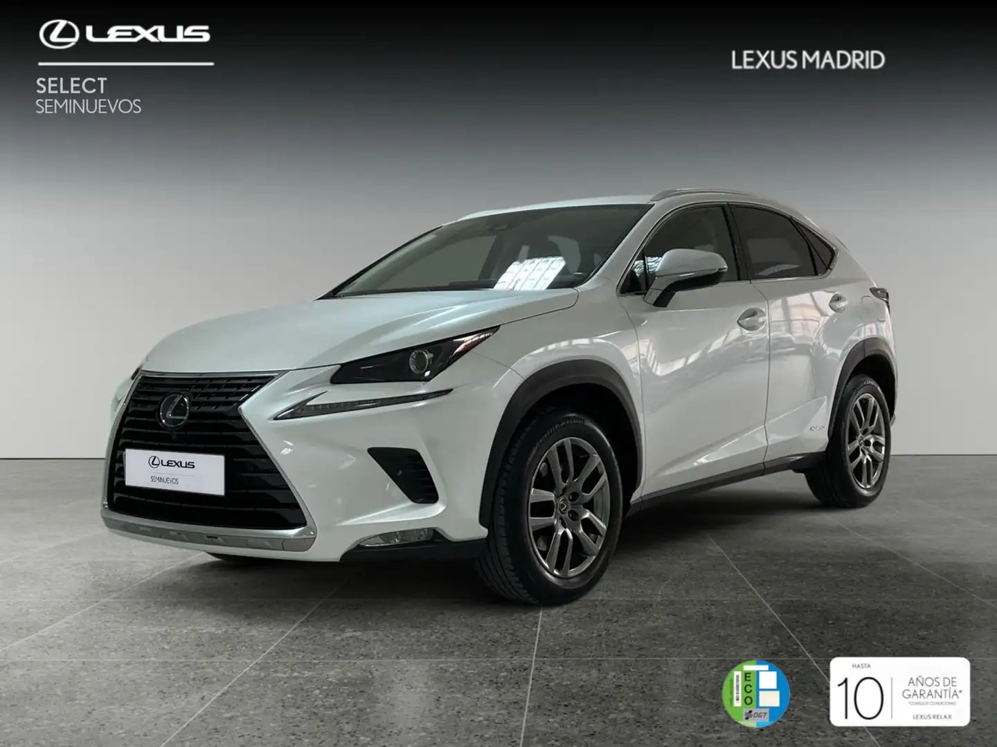 Lexus NX 300 300h Executive Navigation 4WD Blanco - 1