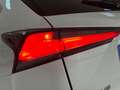 Lexus NX 300 300h Executive Navigation 4WD Blanco - thumbnail 26
