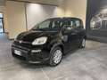 Fiat Panda 1.0 70cv Hybrid Panda Noir - thumbnail 3