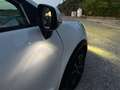 Ford Puma Puma 1.0 EcoBoost Hybrid 125 CV S&S Titanium Bianco - thumbnail 15
