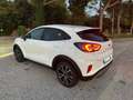 Ford Puma Puma 1.0 EcoBoost Hybrid 125 CV S&S Titanium Bianco - thumbnail 7