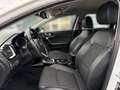 Kia Ceed SW / cee'd SW Ceed SW 1.6 Plug-in Hybrid Spirit, SHZ LM-Felgen Weiß - thumbnail 10