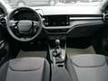 Skoda Fabia Fabia 130 Jahre 1,0 MPI*LED*PDC HI.*RFK*APP-CONNEC Grau - thumbnail 11
