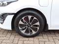 Kia Ceed SW / cee'd SW 1.6 GDI PHEV 141pk DCT6 DynamicPlusLine/ Nieuwe au Blanc - thumbnail 7