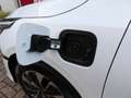 Kia Ceed SW / cee'd SW 1.6 GDI PHEV 141pk DCT6 DynamicPlusLine/ Nieuwe au Blanc - thumbnail 9