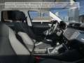 Audi Q3 40 TFSI quattro S tronic MatrixLED ACC 360° Grau - thumbnail 11