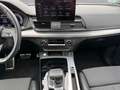 Audi Q5 Sportback S line 40 TFSI quattro S tronic CARPL Grün - thumbnail 11