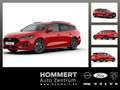 Ford Focus Turnier 1.0 Mild-Hybrid  ST-Line X Navi Rojo - thumbnail 1