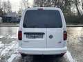 Volkswagen Caddy 2.0TDI DSG 4Motion Maxi Weiß - thumbnail 7