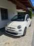 Fiat 500 ECO 1,2 69 Lounge - thumbnail 2
