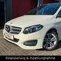 Mercedes-Benz B 180 Urban Style Edition LED Pano Navi PDC Blanc - thumbnail 8
